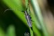 DSC_4860-2.jpg