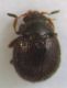 DSCF7202.JPG