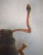 DSCF7216.JPG