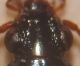 IMG_20200604_140154.jpg