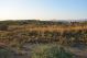 DSC_0896.JPG