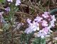 20200419_144527.jpg