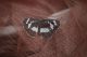 tn_DSC_7506.JPG