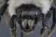 head frontal 2.jpg