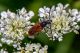 DSC_8194-2.jpg