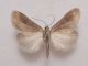 DSC03231.JPG