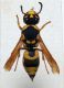 DSC03245.JPG