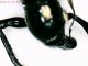 003L-200724181156564.jpg