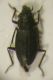 DSCN4489.JPG