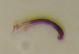 DSCN4492.JPG
