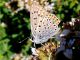 DSC00361.JPG