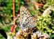 DSC00367.JPG