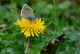 DSC_64981.jpg