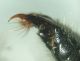 DSC03407.JPG