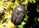 DSC00550.JPG