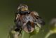 Mosca-15-10-2016 5.jpg