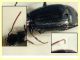 Microlestes 2,8 mm. - Anzio 23.8.2020 -- (1).JPG