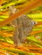 DSCN5179 ridotta.jpg