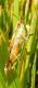 DSCN5192 ridotta.jpg