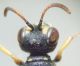 DSC03682abcde.jpg