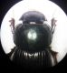 20200906_184633.jpg