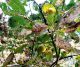 3 IMG-20200914-WA0000.jpg