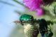July 1st, 2010, Caian trip-  078.JPG