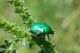 July 1st, 2010, Caian trip-  081.JPG