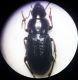 20201003_180903.jpg