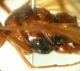 DSC03884.JPG