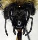 Bombus_mucidus3.FEI.jpg