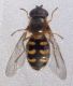 DSC03979.JPG