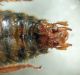 DSC04040.JPG