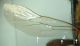 DSC04106.JPG