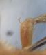 DSC04124.JPG