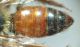 DSC04129.JPG