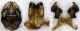 Eucera_bidentata3.FEI.jpg
