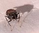 20201007_140418 ridotta.jpg
