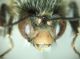 DSC04157.JPG
