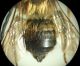DSC04144.JPG