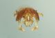 DSC04181.JPG