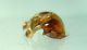 DSC04169.JPG