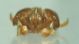 DSC04176.JPG