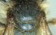 DSC04256.JPG