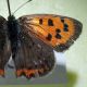 IMG_20201115_122606-min.jpg