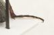 Barber 3 det IMG_5464.JPG