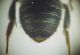 DSCN0005.JPG