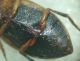 DSC04403.JPG