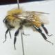 DSC01190.jpg