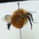DSC01202.jpg